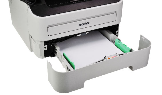 ������ֽ��