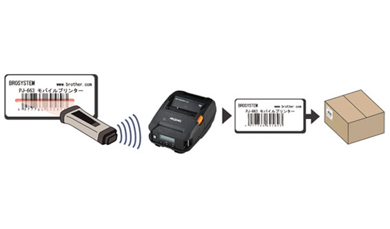 �ɸ���������