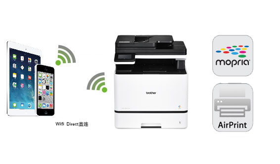 ֱ������