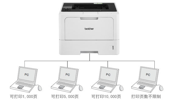 ��ȫ������