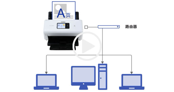 ����/����˫����