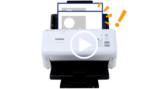 ���������ż��