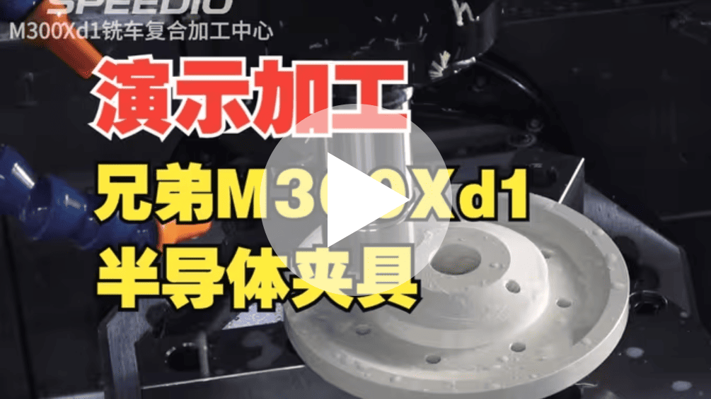 ����ʾ�ӹ���M300Xd1_PEEK�뵼��о�